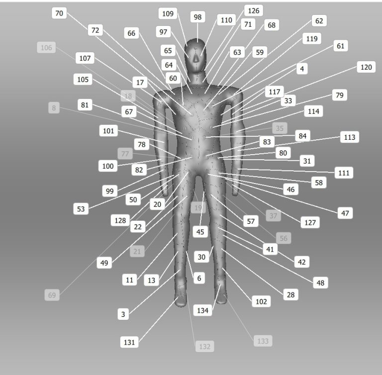 Flame Test Manikin System 2