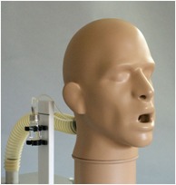 bodypart manikin 2