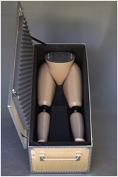 bodypart manikin 4